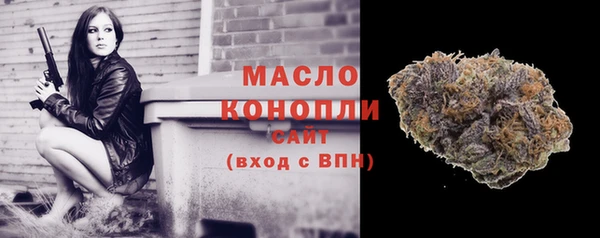 ешки Новодвинск