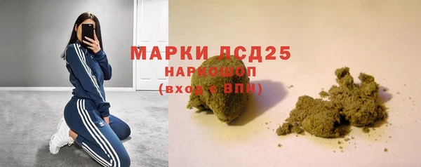 дживик Горняк