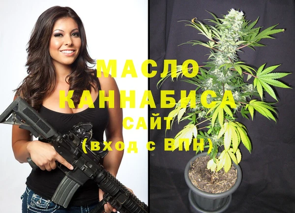 дживик Горняк